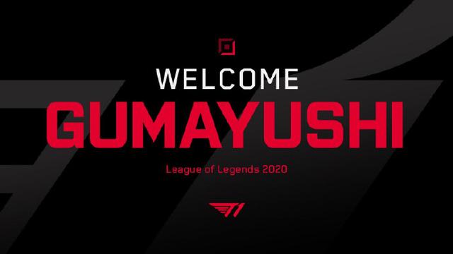 尽力无悔 尽力无悔