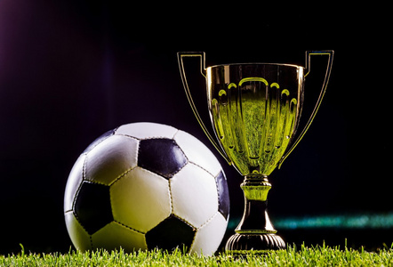 他在巴西甲 他在巴西甲